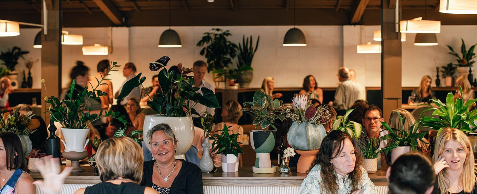 People dining near a plant wall in the Paseo Restaurant Louisville KY